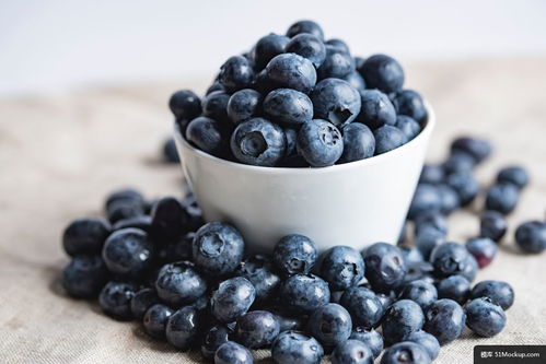 水果 浆果 蓝莓 碗 食品 夏季水果 美食摄影图片
