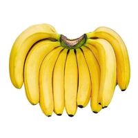 十大热门香蕉产品 值得入手的香蕉推荐