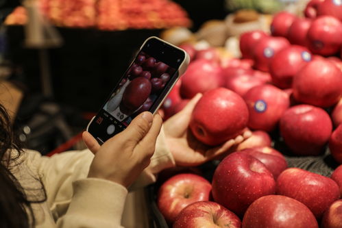 苹果水果商场超市商品货物摄影图 摄影
